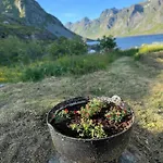 Enebolig Med Eventyrlig Beliggenhet Like Ved Sjoen I Lofoten *