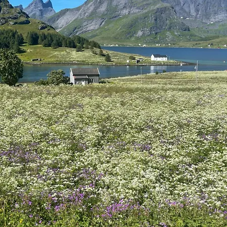 Enebolig Med Eventyrlig Beliggenhet Like Ved Sjoen I Lofoten Sund (Nordland)