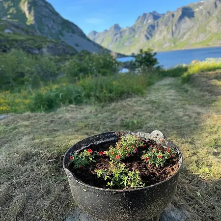 Enebolig Med Eventyrlig Beliggenhet Like Ved Sjoen I Lofoten *