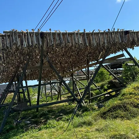 Enebolig Med Eventyrlig Beliggenhet Like Ved Sjoen I Lofoten Villa *