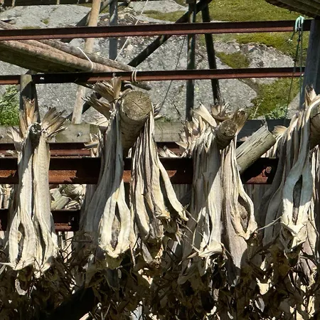 Villa Enebolig Med Eventyrlig Beliggenhet Like Ved Sjoen I Lofoten Sund (Nordland)