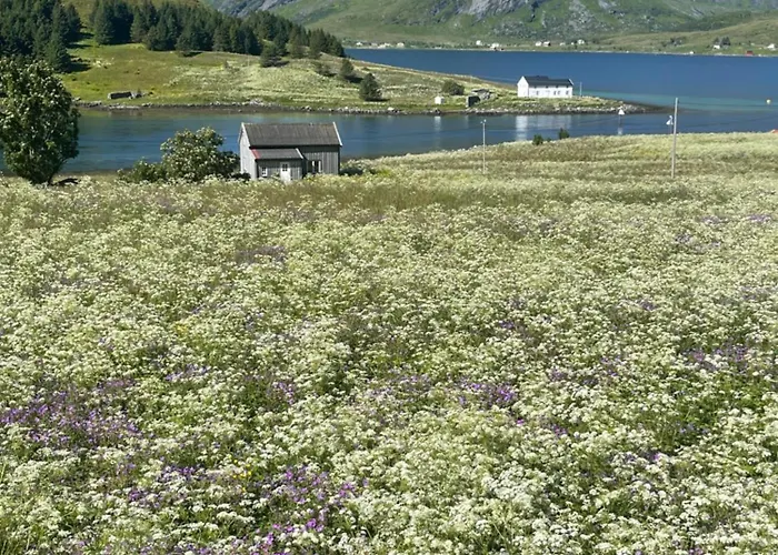 Enebolig Med Eventyrlig Beliggenhet Like Ved Sjoen I Lofoten Sund (Nordland)