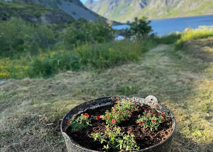 Enebolig Med Eventyrlig Beliggenhet Like Ved Sjoen I Lofoten *