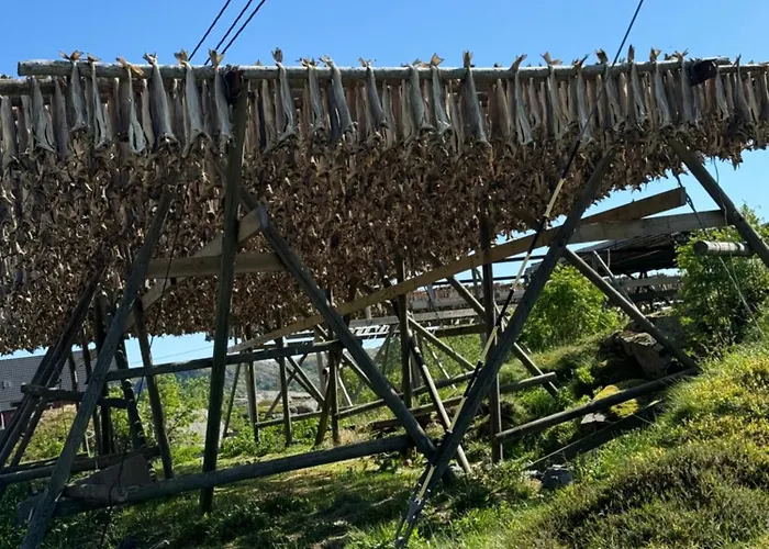 Enebolig Med Eventyrlig Beliggenhet Like Ved Sjoen I Lofoten Willa *